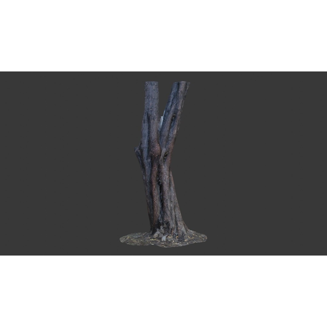 Split Tree Trunk 3D Model – Low Poly Scanned Asset with PBR Textures, FBX - View 3