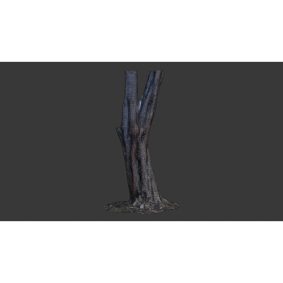 Split Tree Trunk 3D Model – Low Poly Scanned Asset with PBR Textures, FBX - View 4