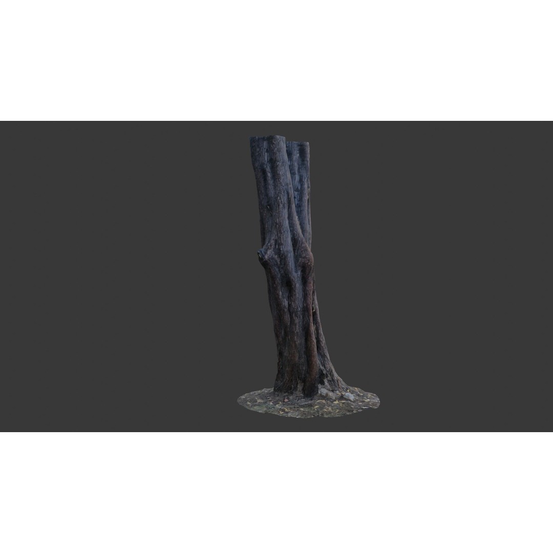 Split Tree Trunk 3D Model – Low Poly Scanned Asset with PBR Textures, FBX - View 6