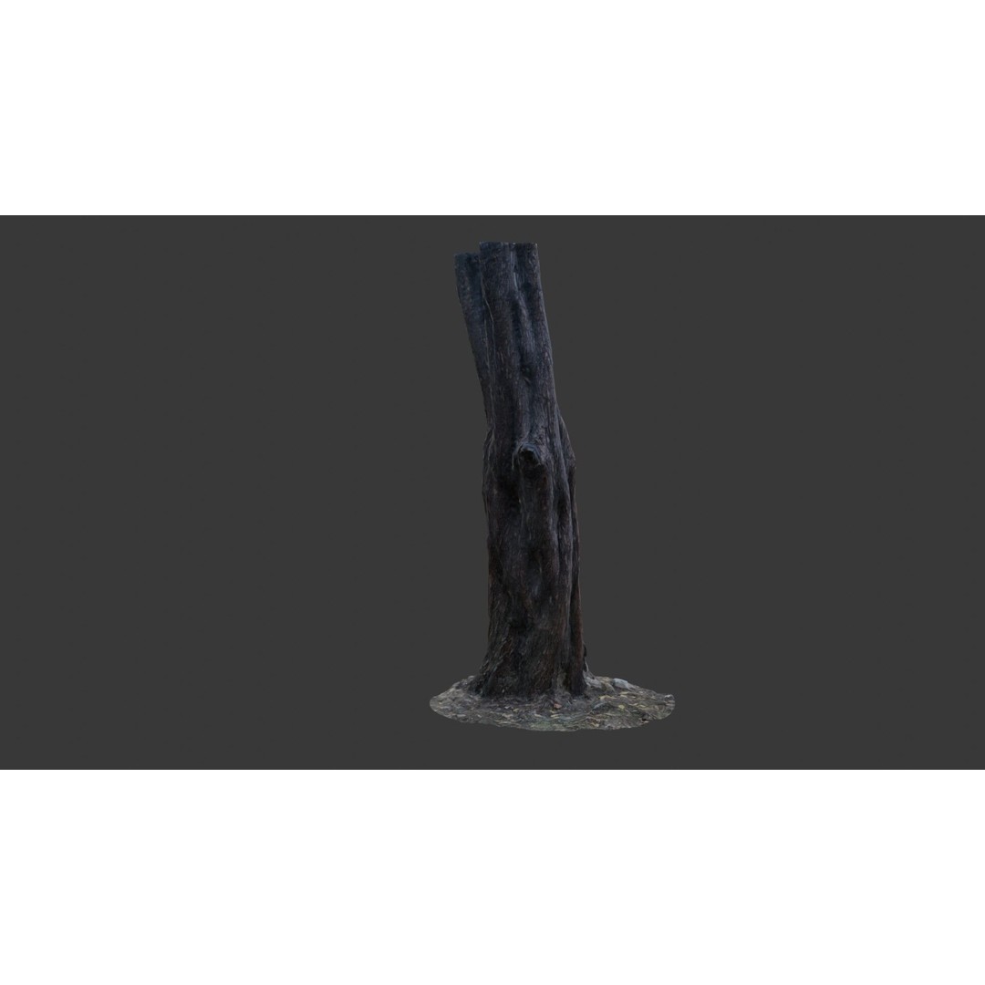 Split Tree Trunk 3D Model – Low Poly Scanned Asset with PBR Textures, FBX - View 7