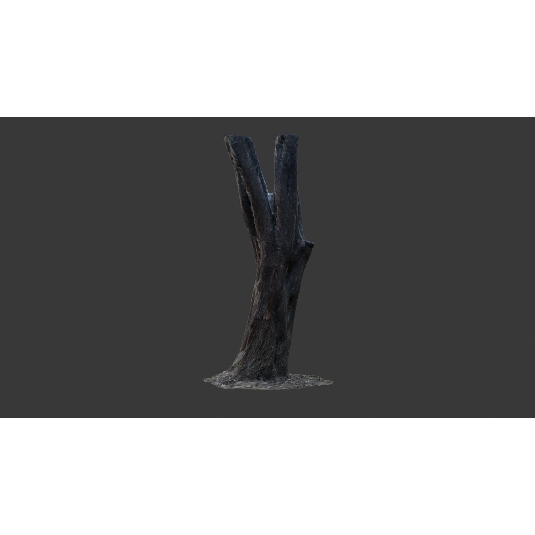 Split Tree Trunk 3D Model – Low Poly Scanned Asset with PBR Textures, FBX - View 8