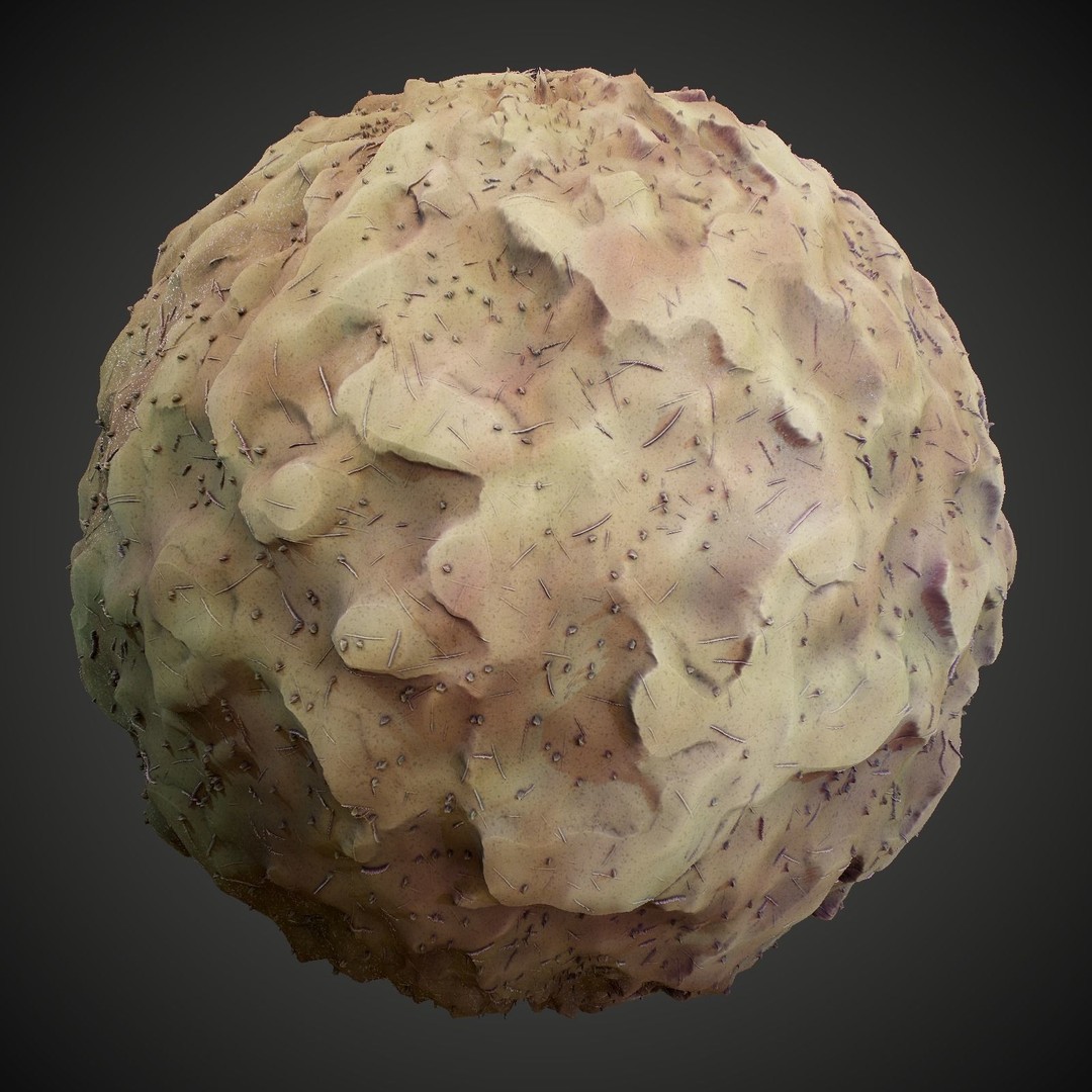 Stylized Summer Forest Materials 3D Model – PBR Textures for Games