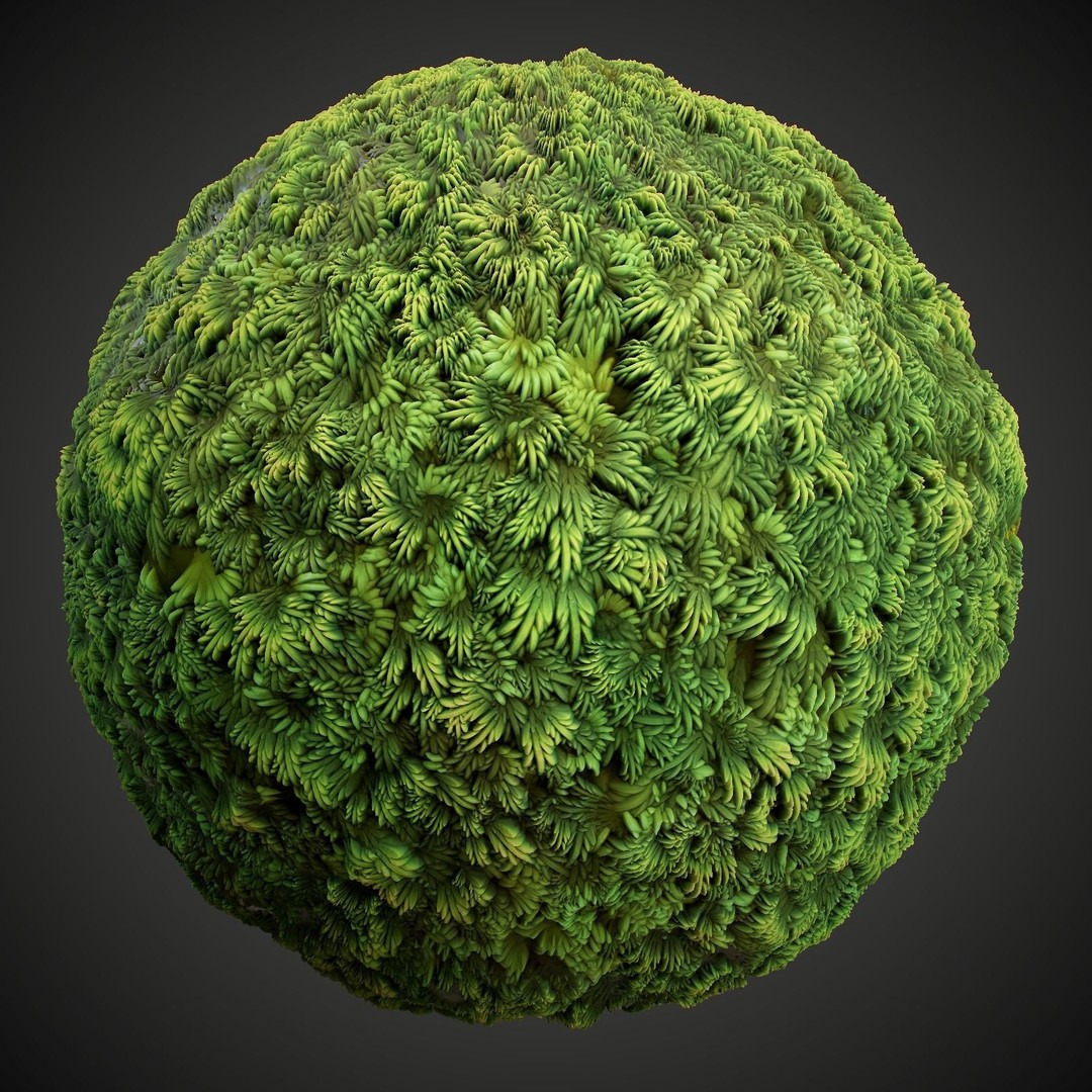 Stylized Summer Forest Materials 3D Model – PBR Textures for Games - View 7