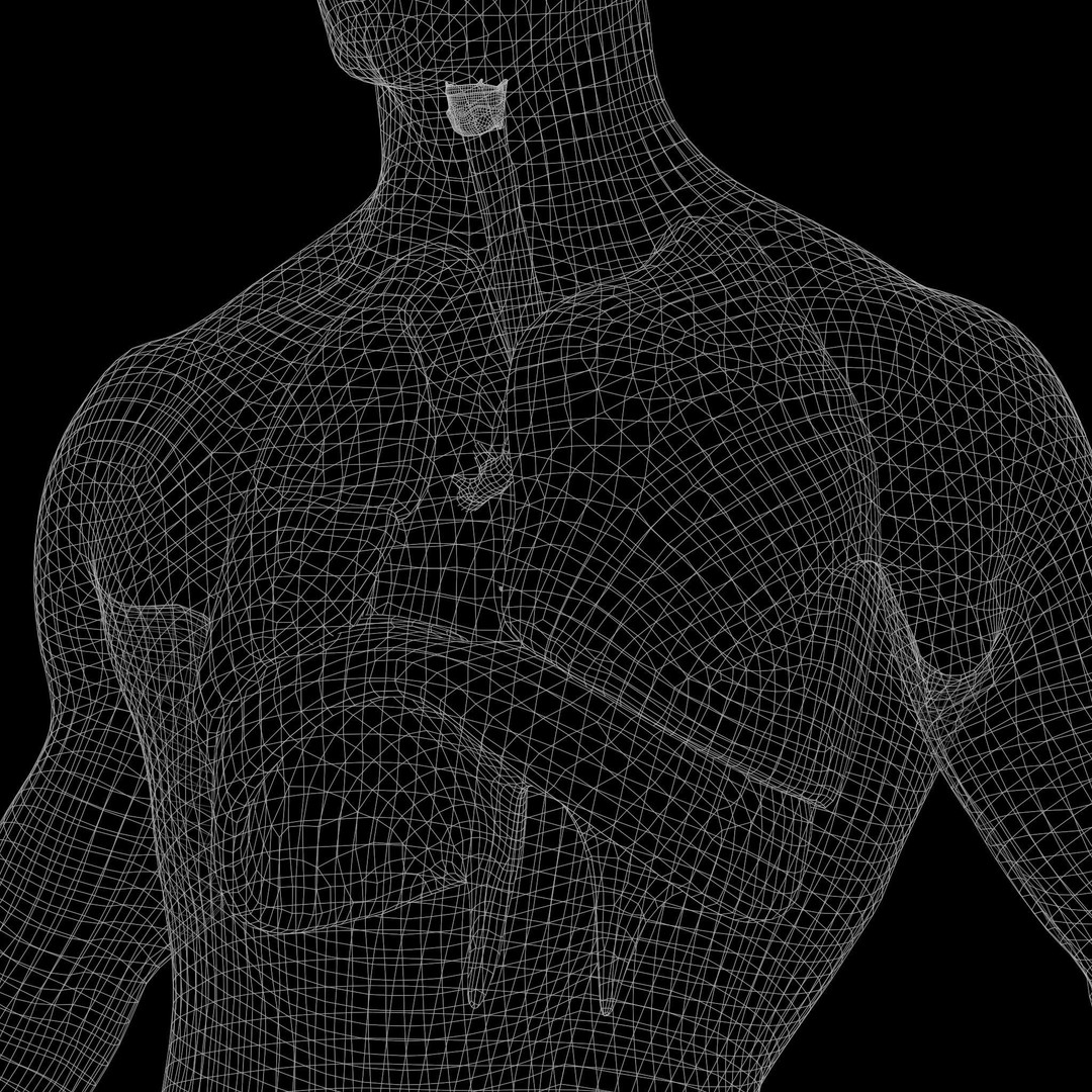 Human Respiratory System Lungs 3D Model – High Poly PBR Asset, FBX, OBJ