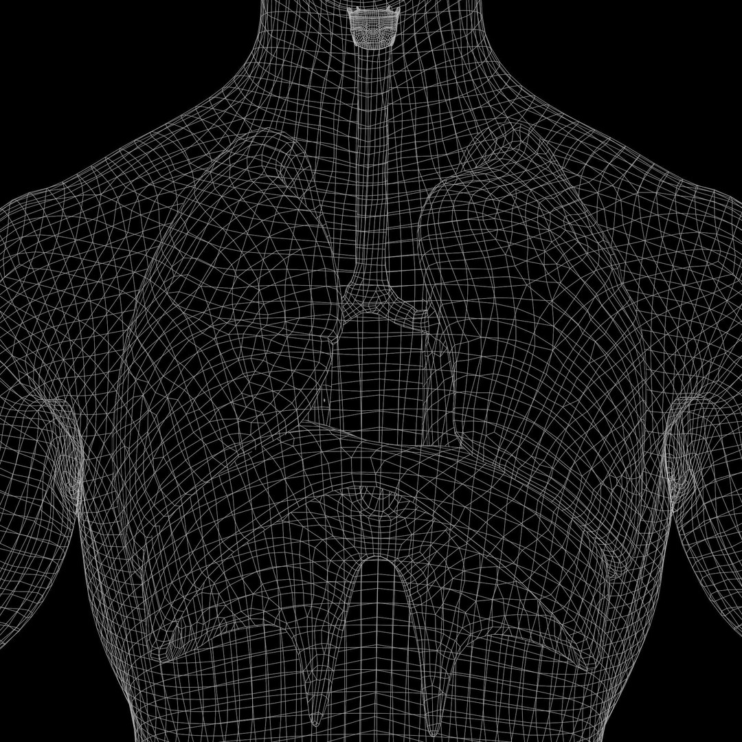 Human Respiratory System Lungs 3D Model – High Poly PBR Asset, FBX, OBJ - View 14