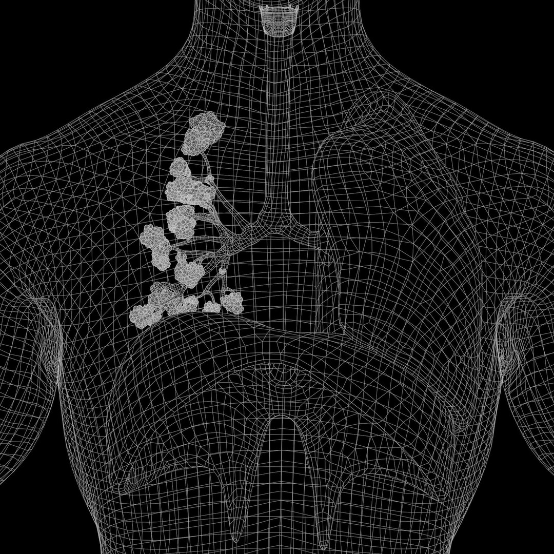 Human Respiratory System Lungs 3D Model – High Poly PBR Asset, FBX, OBJ - View 15
