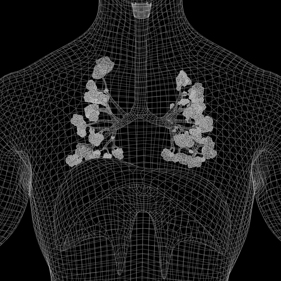 Human Respiratory System Lungs 3D Model – High Poly PBR Asset, FBX, OBJ - View 16