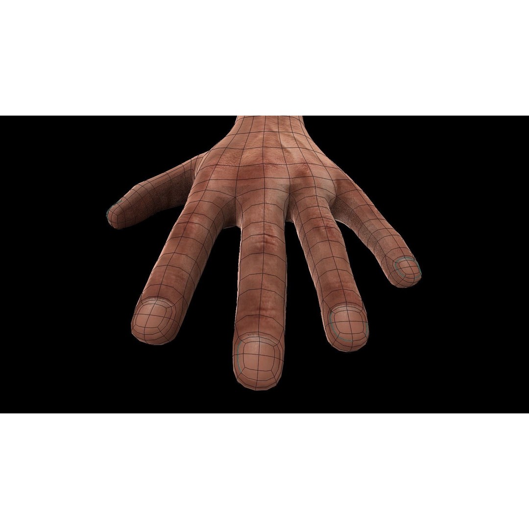 Rigged Hands 3D Model – Low Poly Game Asset, FBX, PBR Textures - View 12