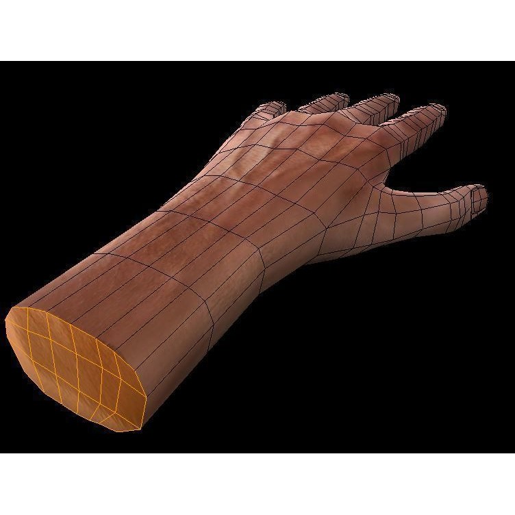 Rigged Hands 3D Model – Low Poly Game Asset, FBX, PBR Textures - View 14