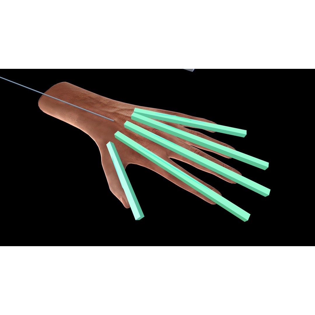 Rigged Hands 3D Model – Low Poly Game Asset, FBX, PBR Textures - View 5