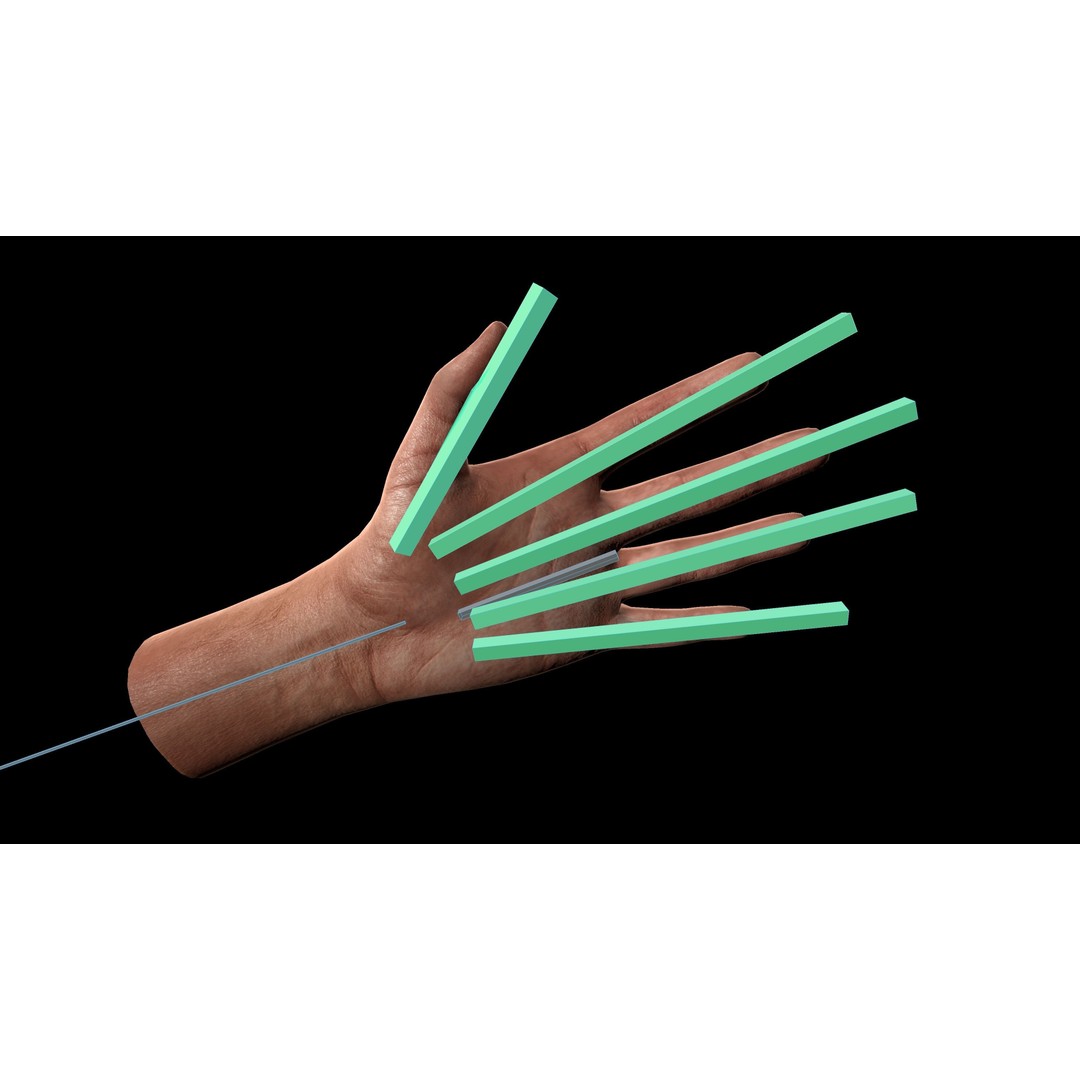 Rigged Hands 3D Model – Low Poly Game Asset, FBX, PBR Textures - View 6