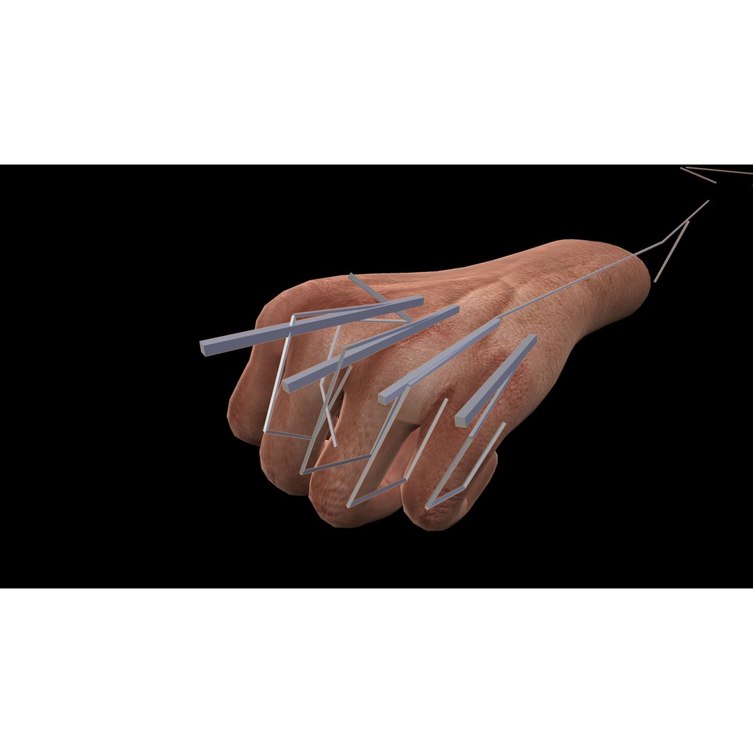 Rigged Hands 3D Model – Low Poly Game Asset, FBX, PBR Textures - View 7