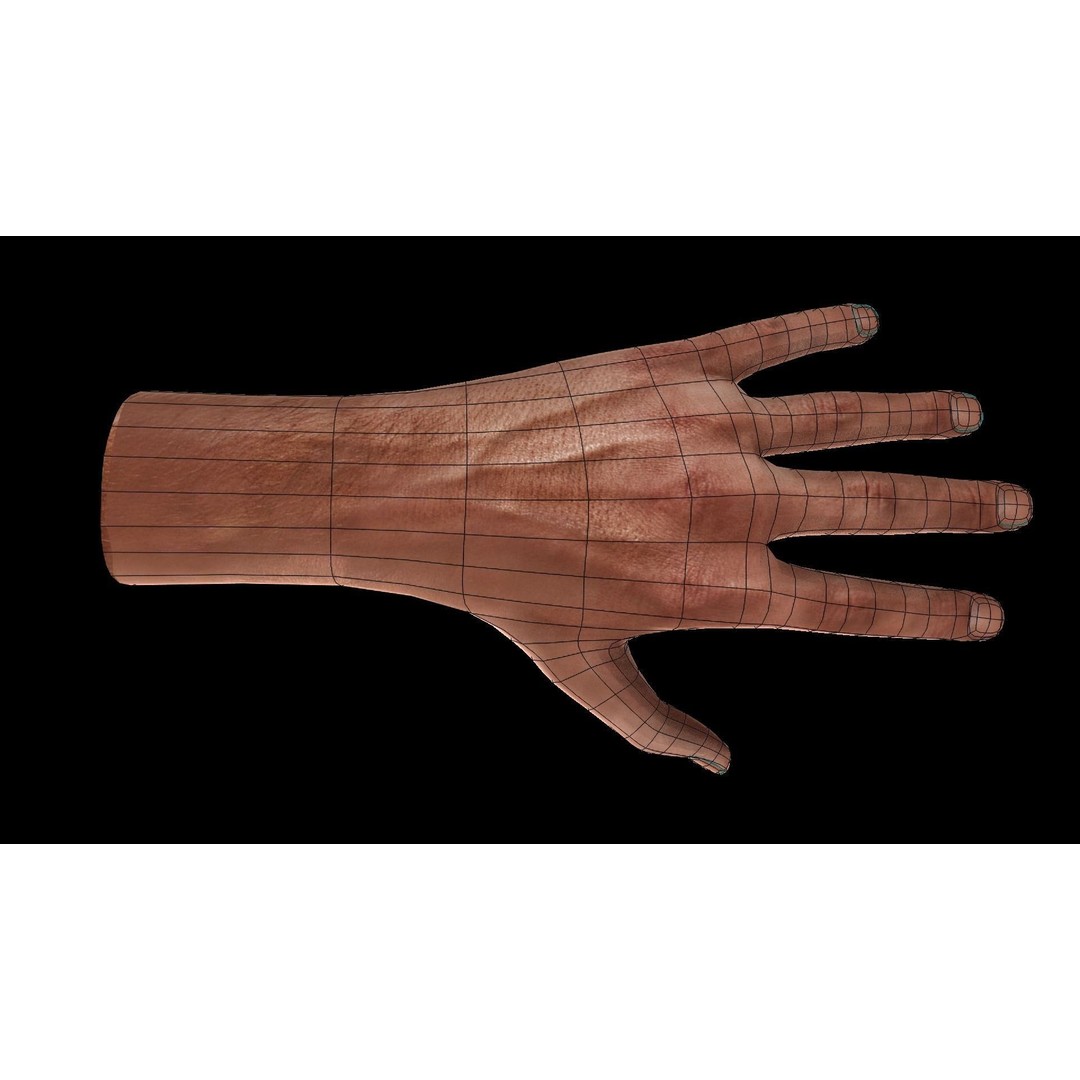 Rigged Hands 3D Model – Low Poly Game Asset, FBX, PBR Textures - View 8