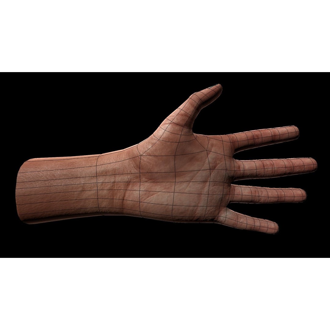 Rigged Hands 3D Model – Low Poly Game Asset, FBX, PBR Textures - View 9
