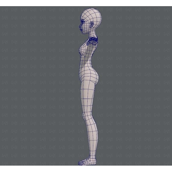 Base Mesh Woman 3D Model – Low Poly Cartoon Character for Animation - View 17