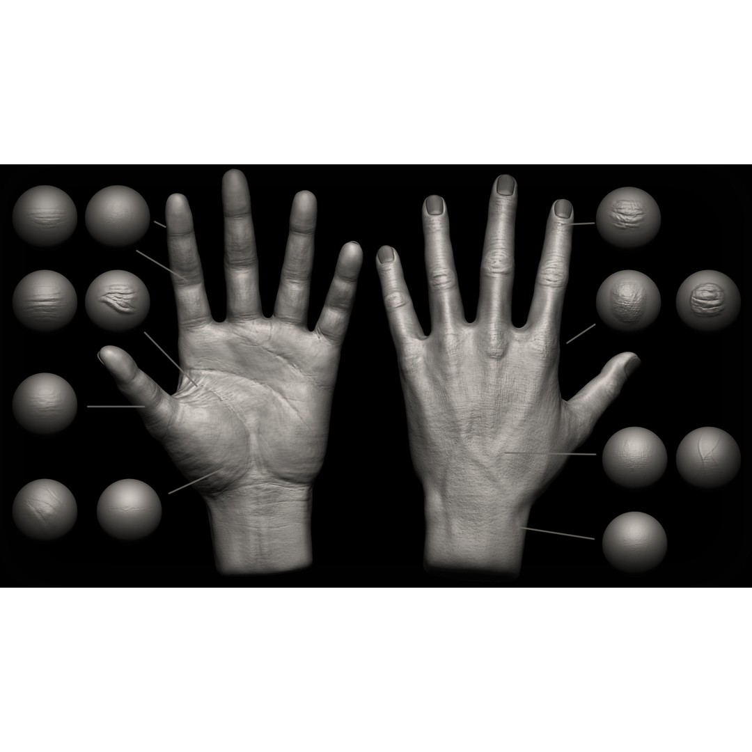 Hand Details 3D Model – Sculpted Brushes & Alphas for Zbrush
