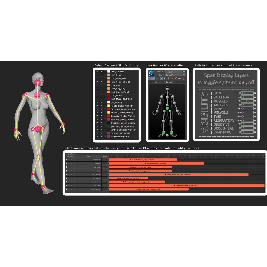 Motion Capture Anatomy Combo 3D Model – Low Poly Rigged Character, FBX - View 3