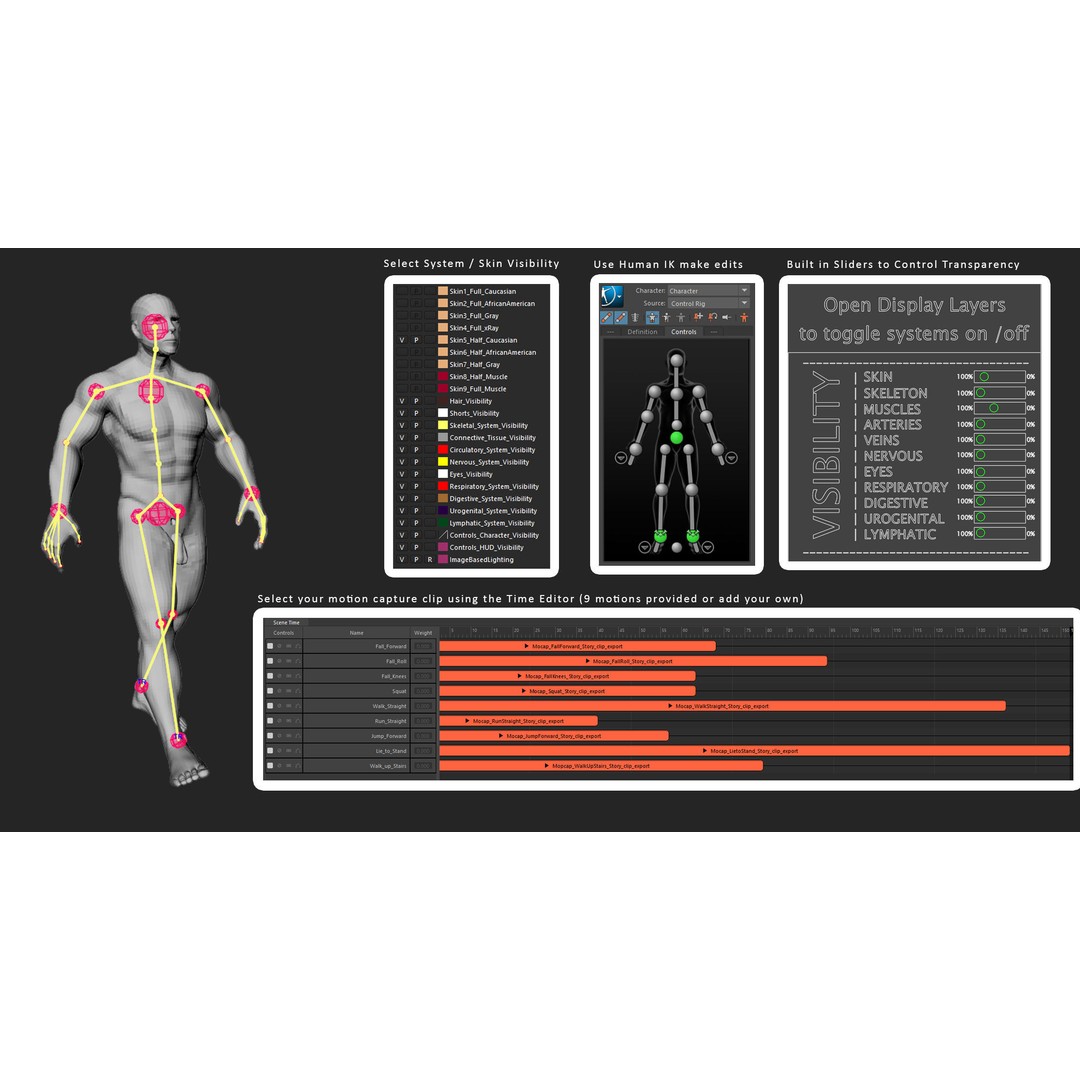 Motion Capture Anatomy Combo 3D Model – Low Poly Rigged Character, FBX - View 4