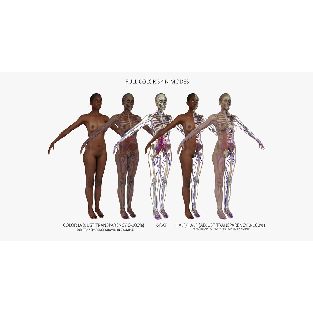 Motion Capture Anatomy Combo 3D Model – Low Poly Rigged Character, FBX - View 6