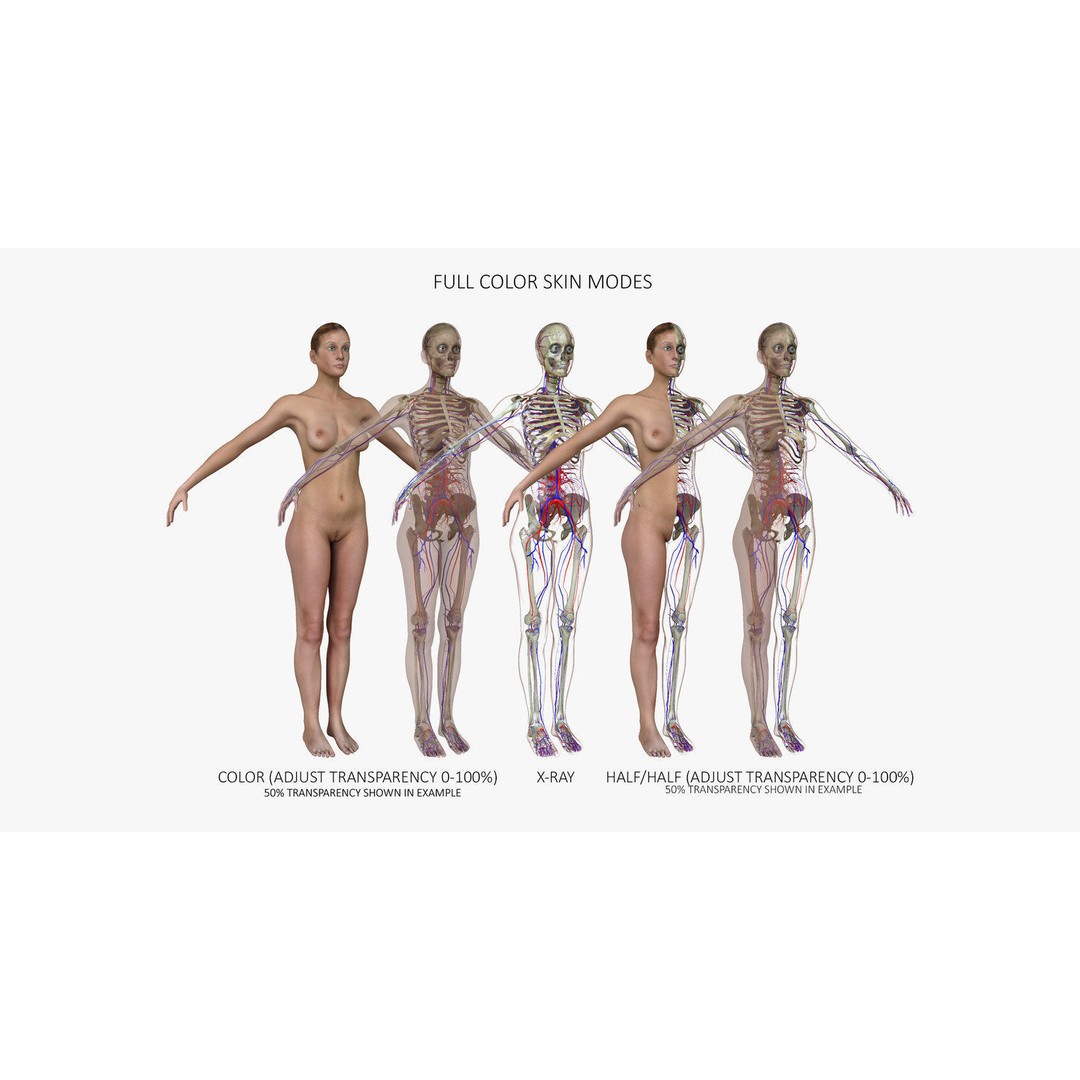 Motion Capture Anatomy Combo 3D Model – Low Poly Rigged Character, FBX - View 7