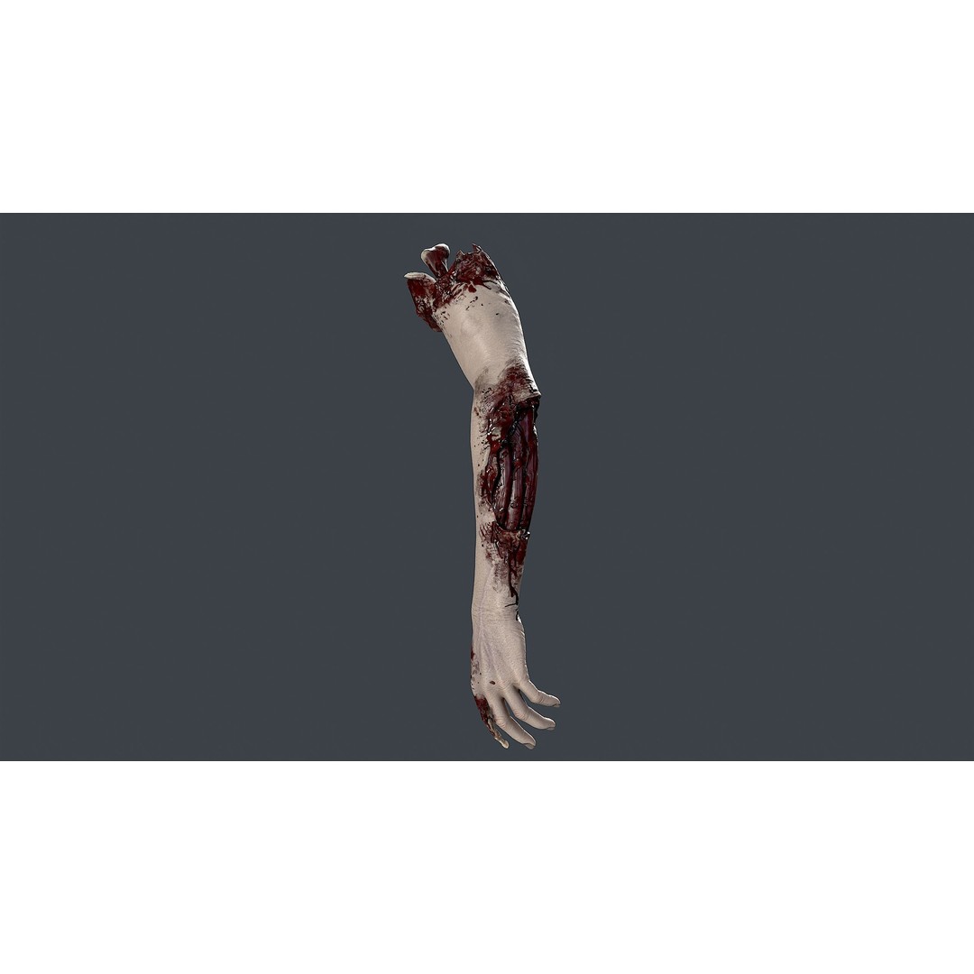 Severed Hand 3D Model – Low Poly Horror Asset, FBX, PBR Textures - View 10
