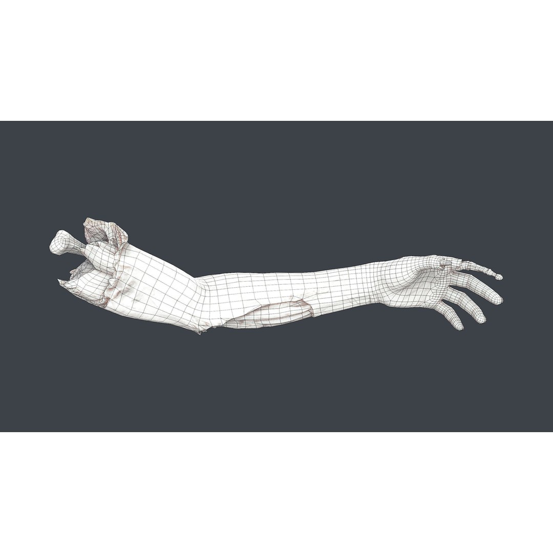 Severed Hand 3D Model – Low Poly Horror Asset, FBX, PBR Textures - View 16