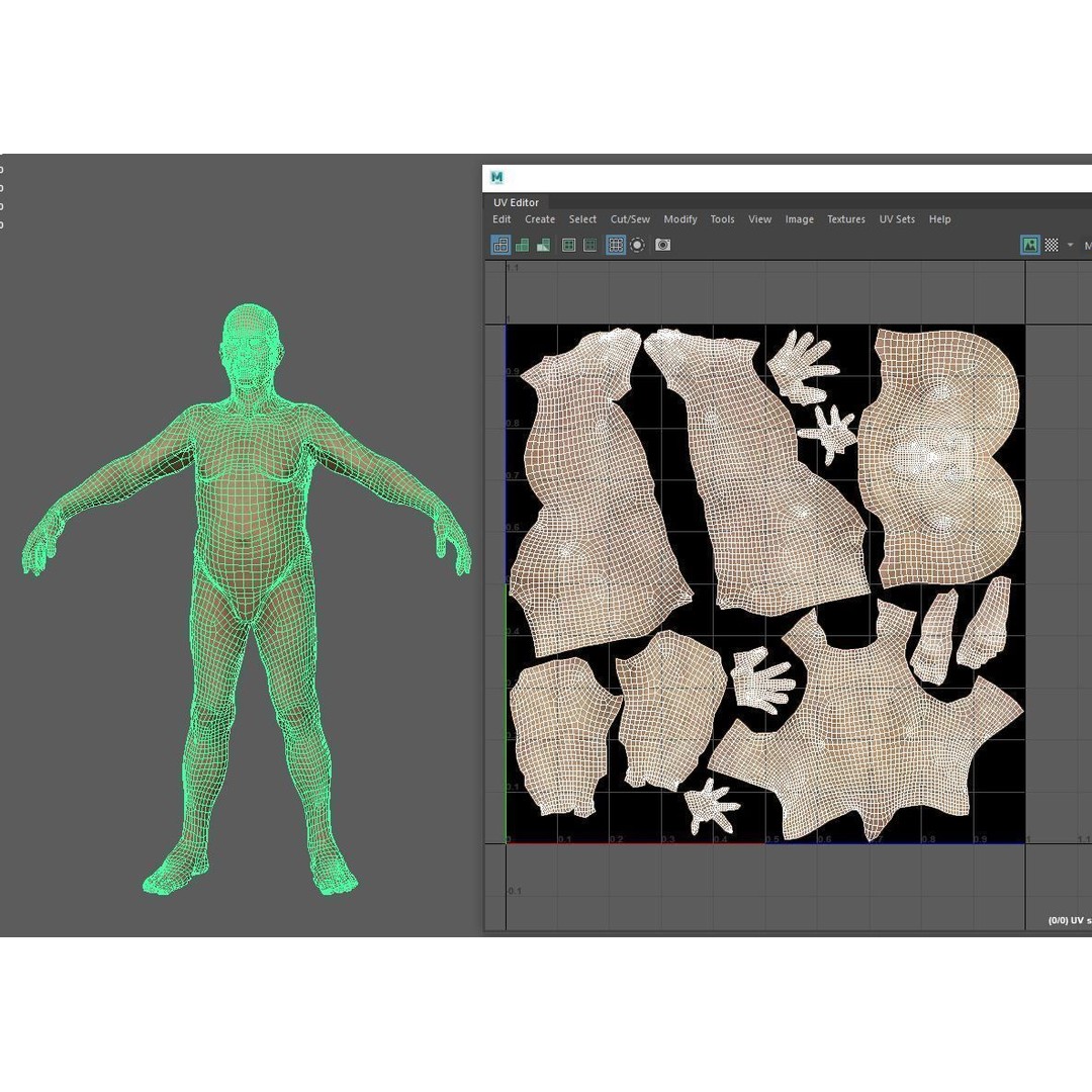 Oldster 3D Model – Muscular Character Anatomy, FBX, PBR Textures