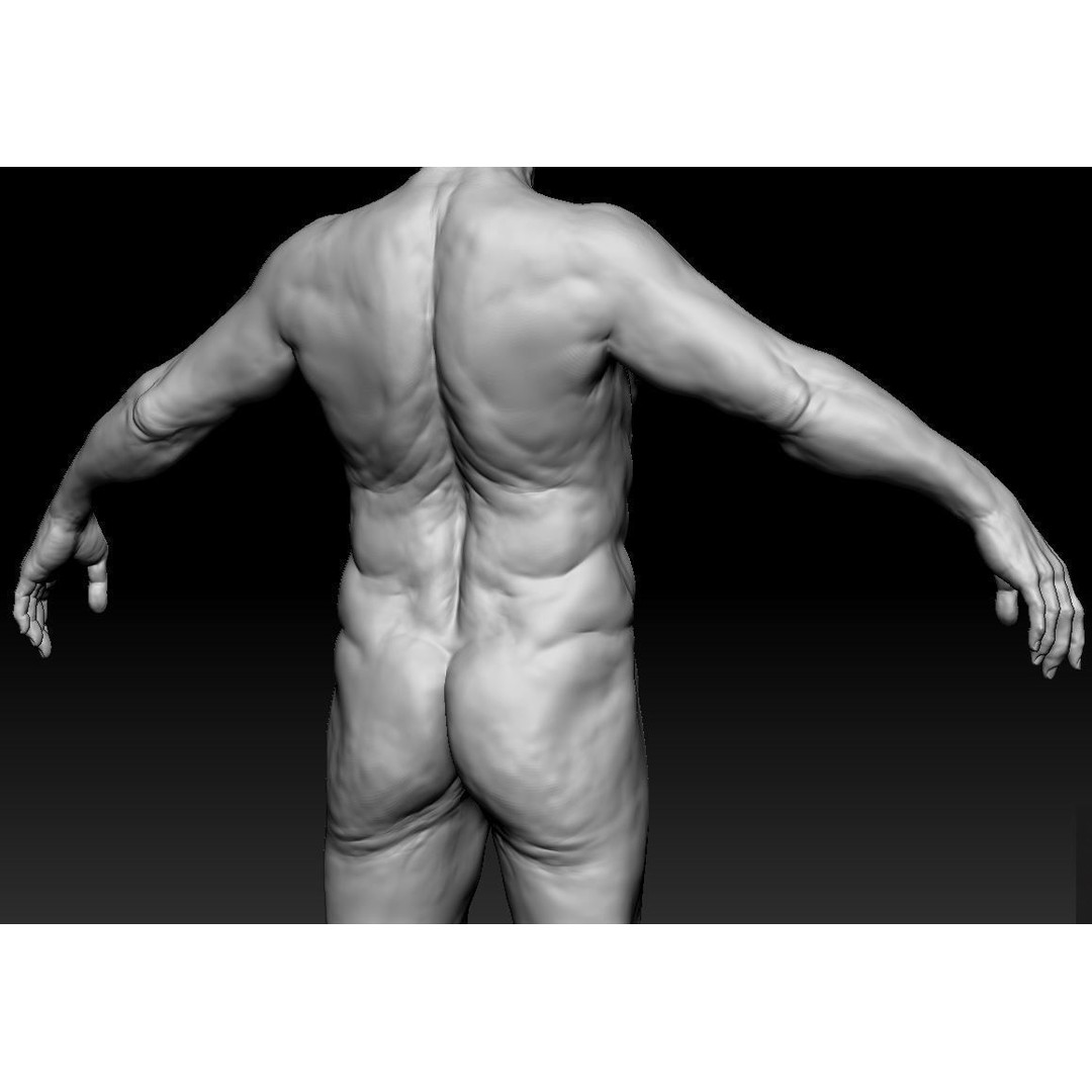 Oldster 3D Model – Muscular Character Anatomy, FBX, PBR Textures - View 10