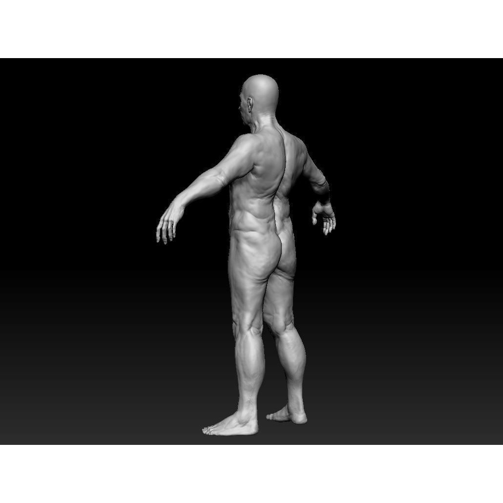 Oldster 3D Model – Muscular Character Anatomy, FBX, PBR Textures - View 5