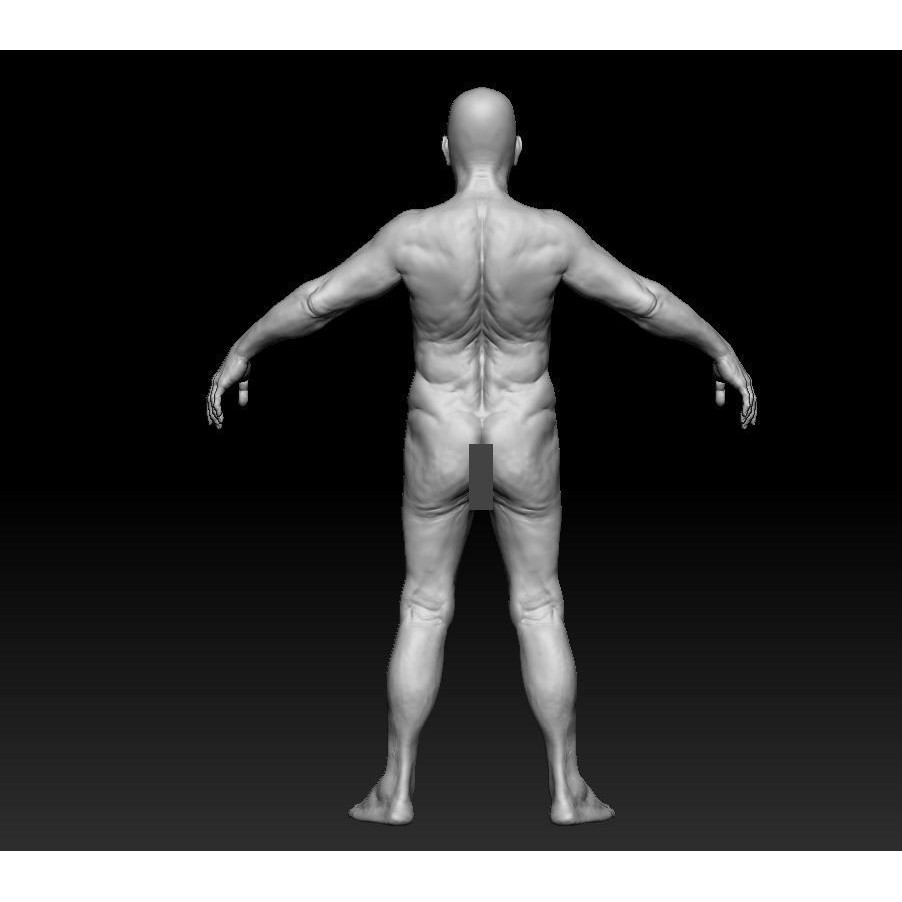 Oldster 3D Model – Muscular Character Anatomy, FBX, PBR Textures - View 7