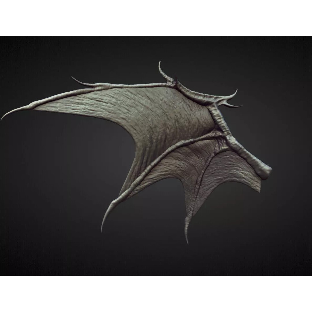 High Poly Wing 3D Model – Character Sculpting Asset, OBJ - View 2