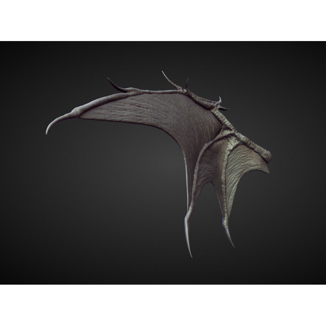 High Poly Wing 3D Model – Character Sculpting Asset, OBJ - View 3