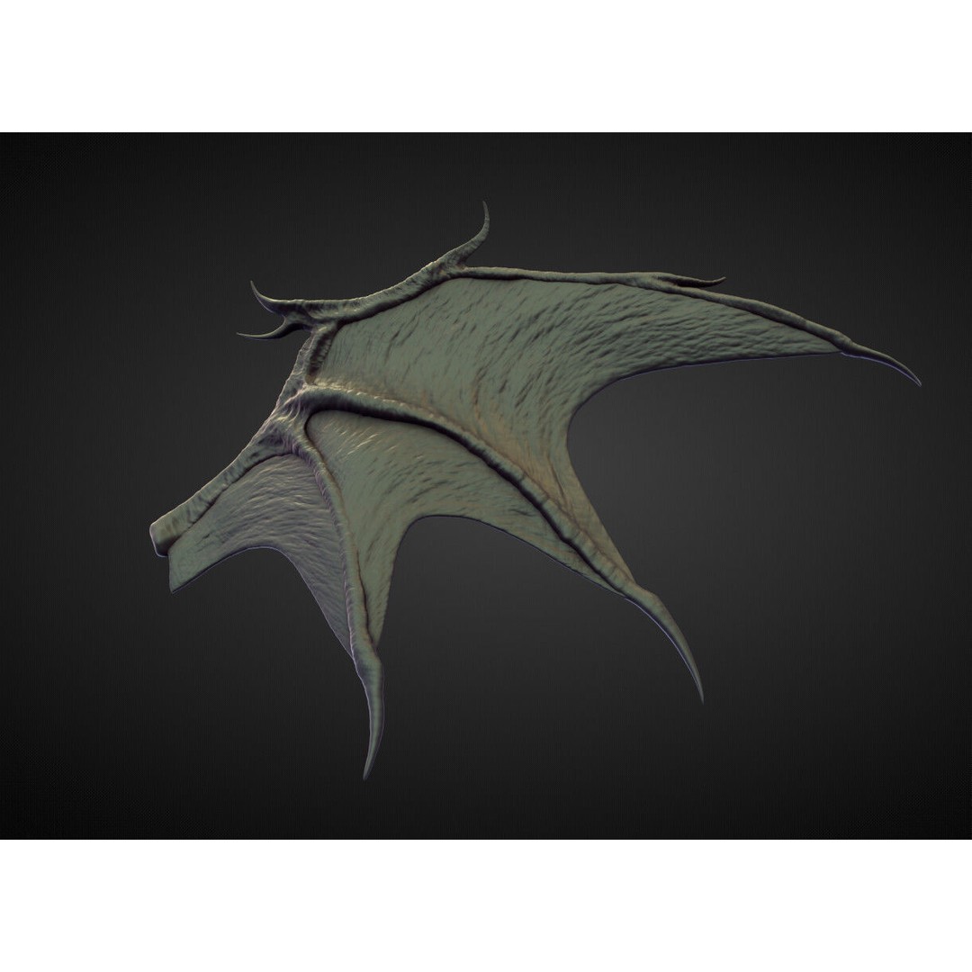 High Poly Wing 3D Model – Character Sculpting Asset, OBJ - View 4