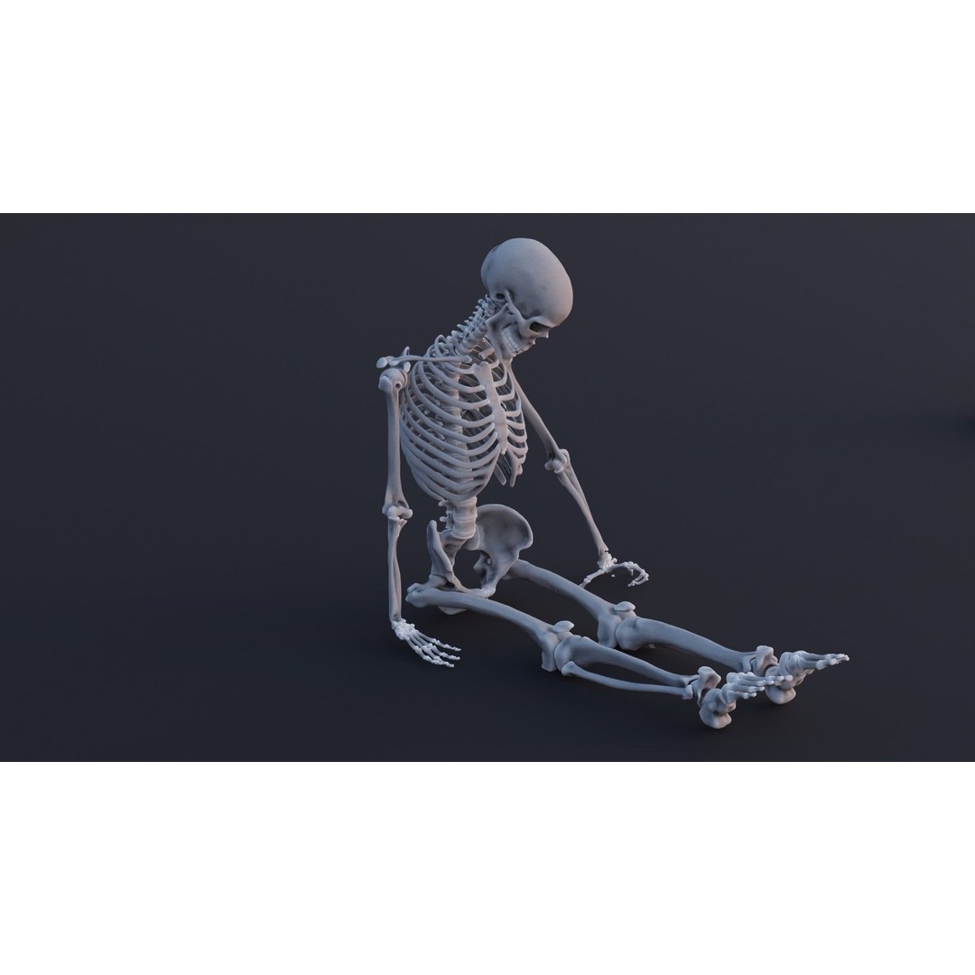 Skeleton 3D Model – Low Poly Rigged Character with PBR Textures - View 6