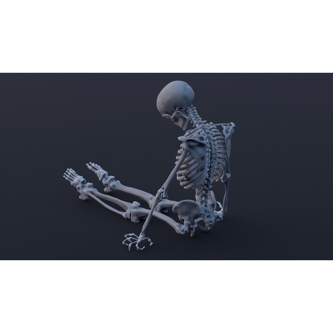 Skeleton 3D Model – Low Poly Rigged Character with PBR Textures - View 7