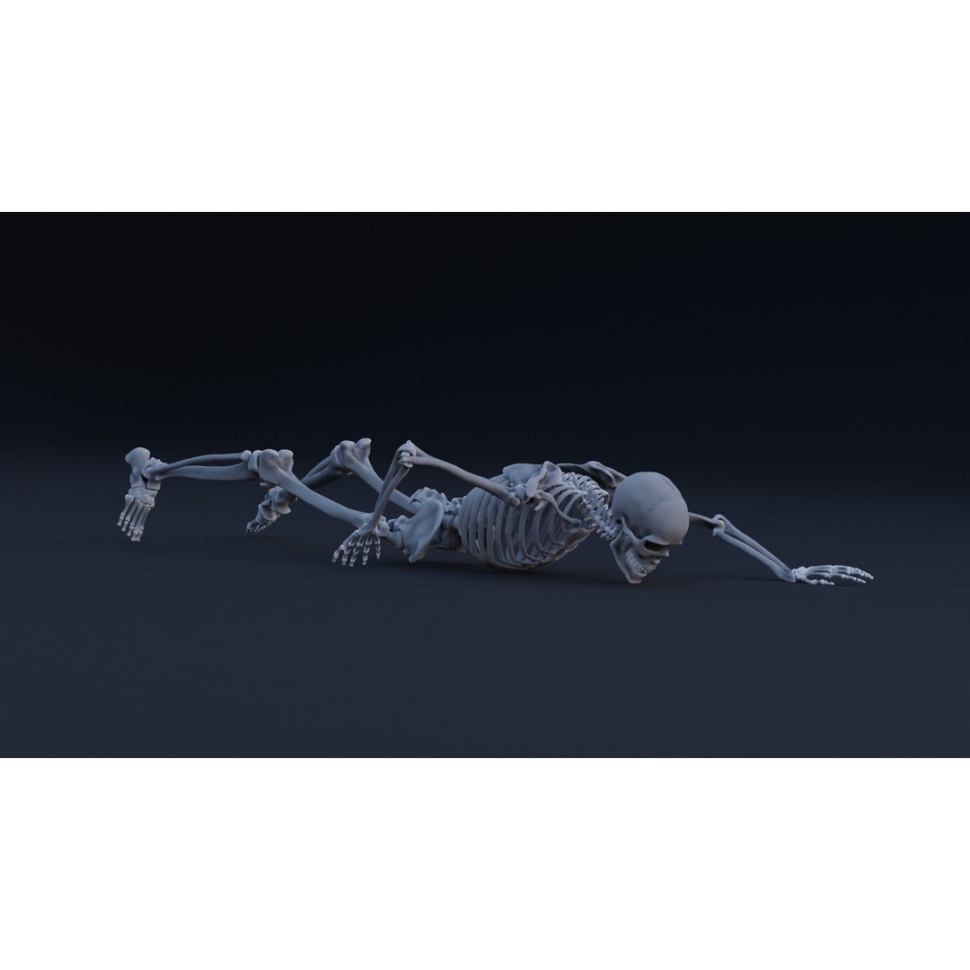 Skeleton 3D Model – Low Poly Rigged Character with PBR Textures - View 8