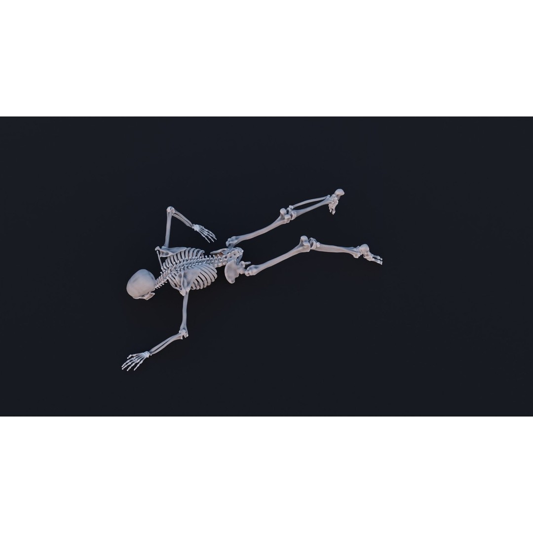 Skeleton 3D Model – Low Poly Rigged Character with PBR Textures - View 9
