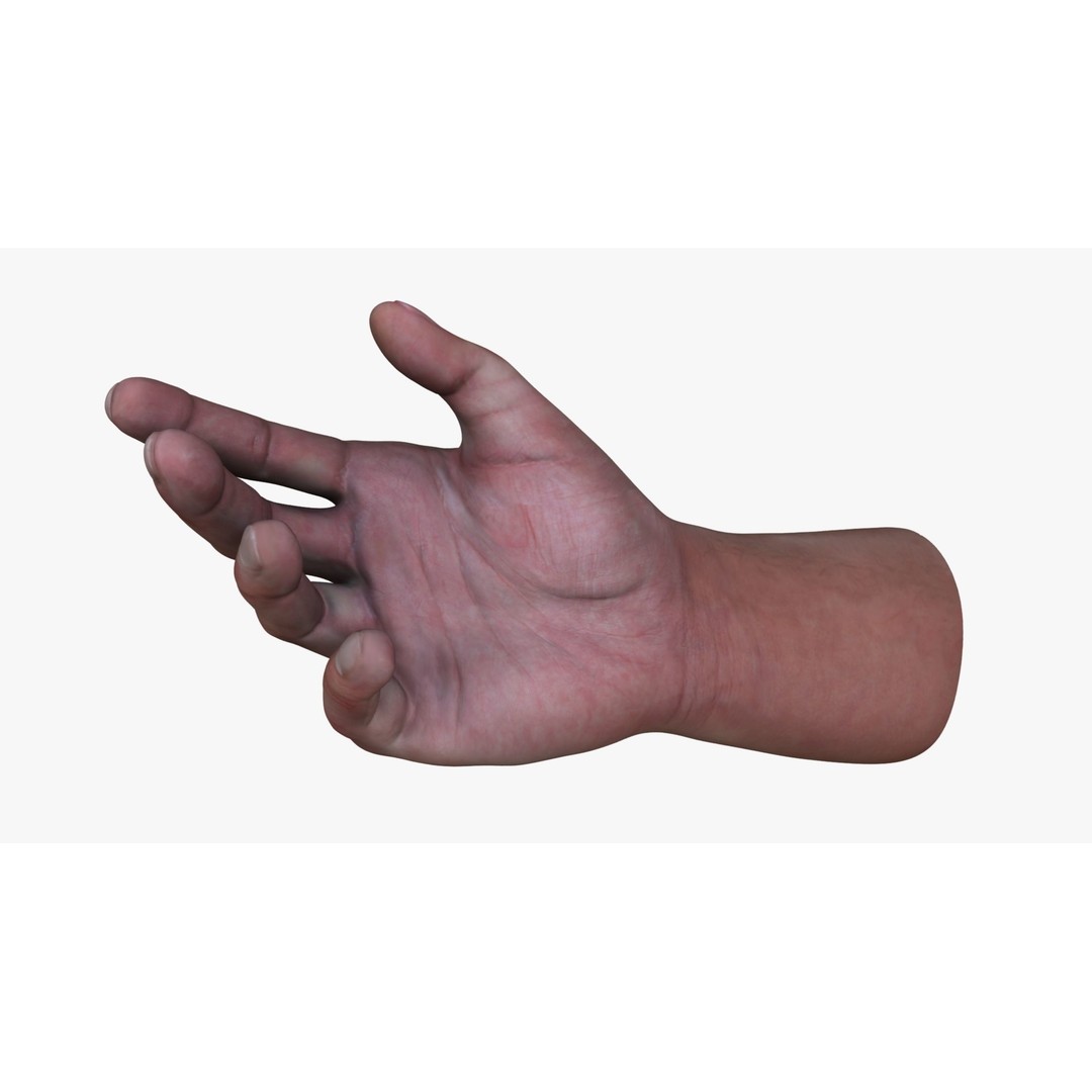 Hand Holding Smartphone 3D Model – Realistic Character Anatomy, FBX - View 10