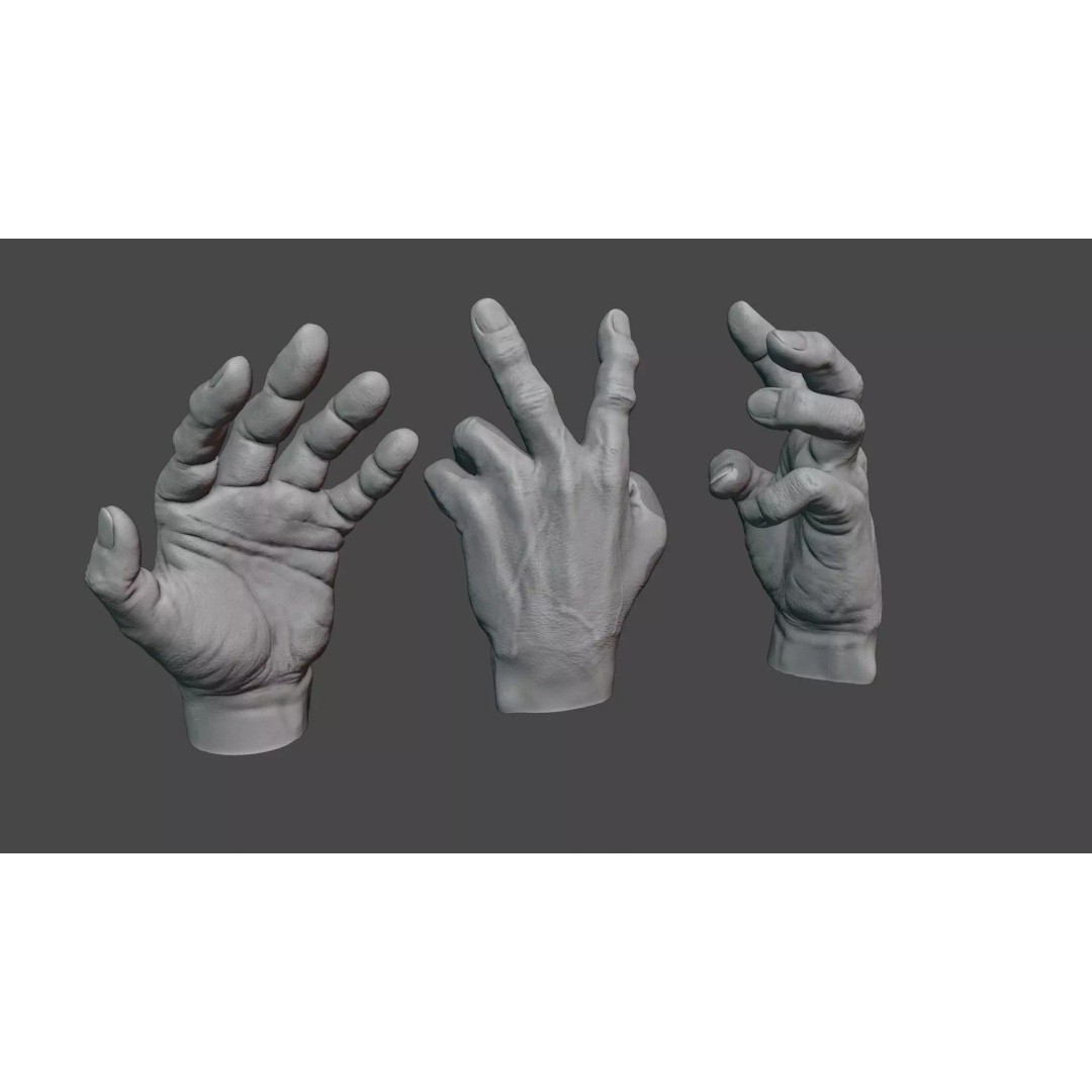 Rigged Human Hand 3D Model – Anatomically Accurate Blender Asset - View 2