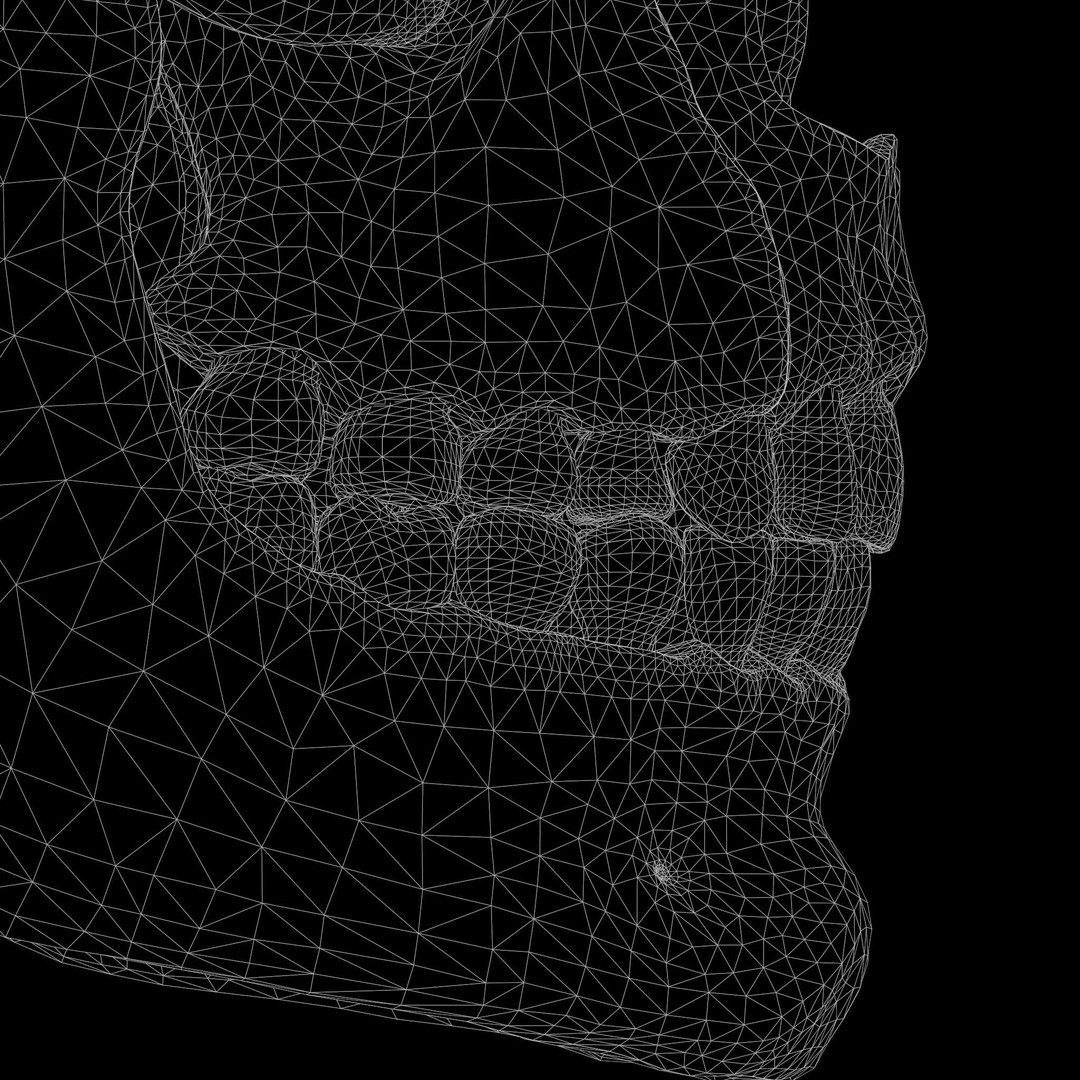 Tooth Structure 3D Model – Low Poly Anatomical Jawbone Asset, FBX