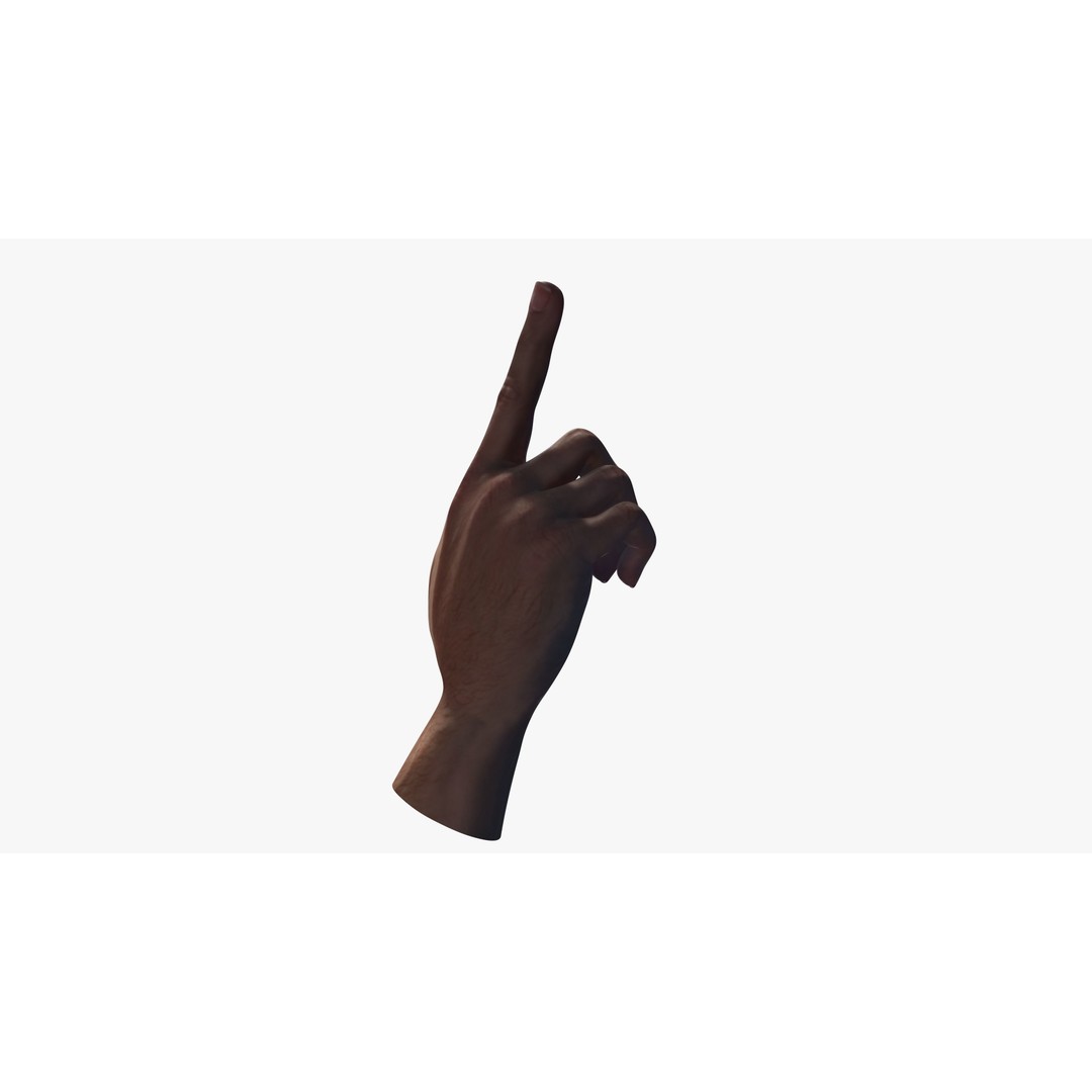 Pointing Hand 3D Model – Low Poly Rigged Gesture Asset, FBX - View 12