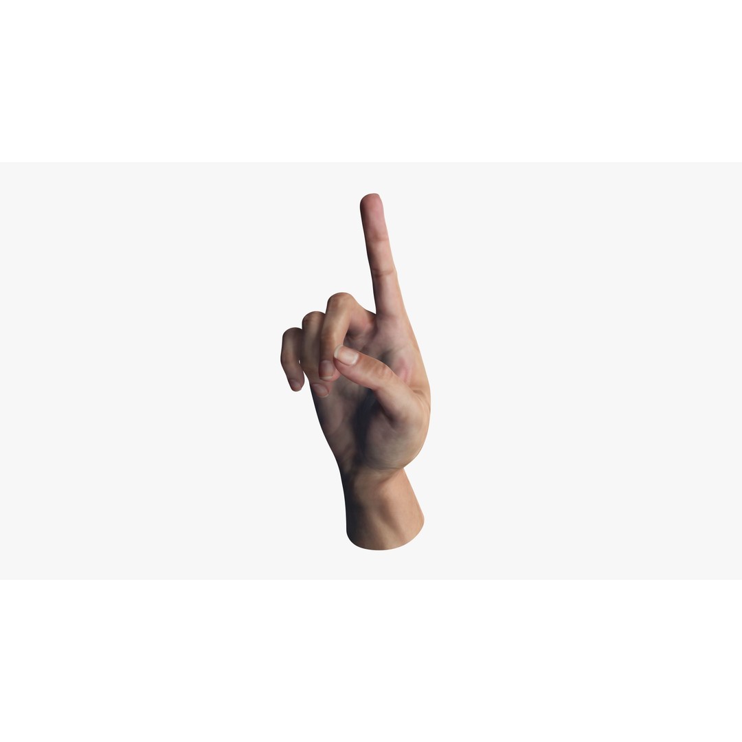 Pointing Hand 3D Model – Low Poly Rigged Gesture Asset, FBX - View 5