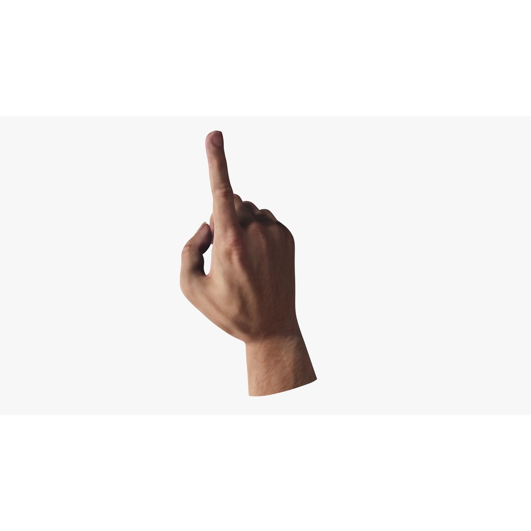 Pointing Hand 3D Model – Low Poly Rigged Gesture Asset, FBX - View 9