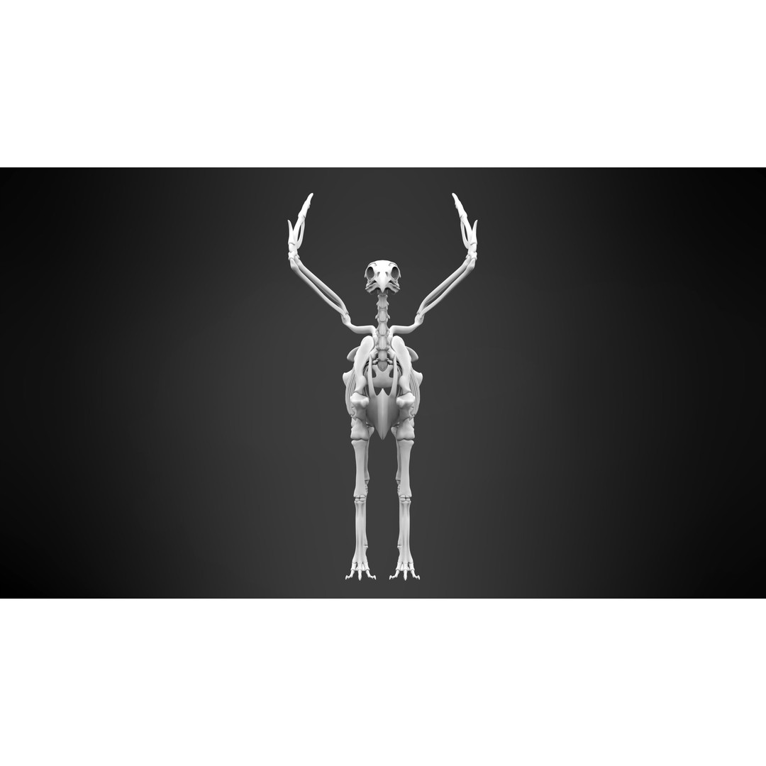 Hippogriff Skeleton 3D Model – High Poly Fantasy Character, FBX, OBJ - View 10