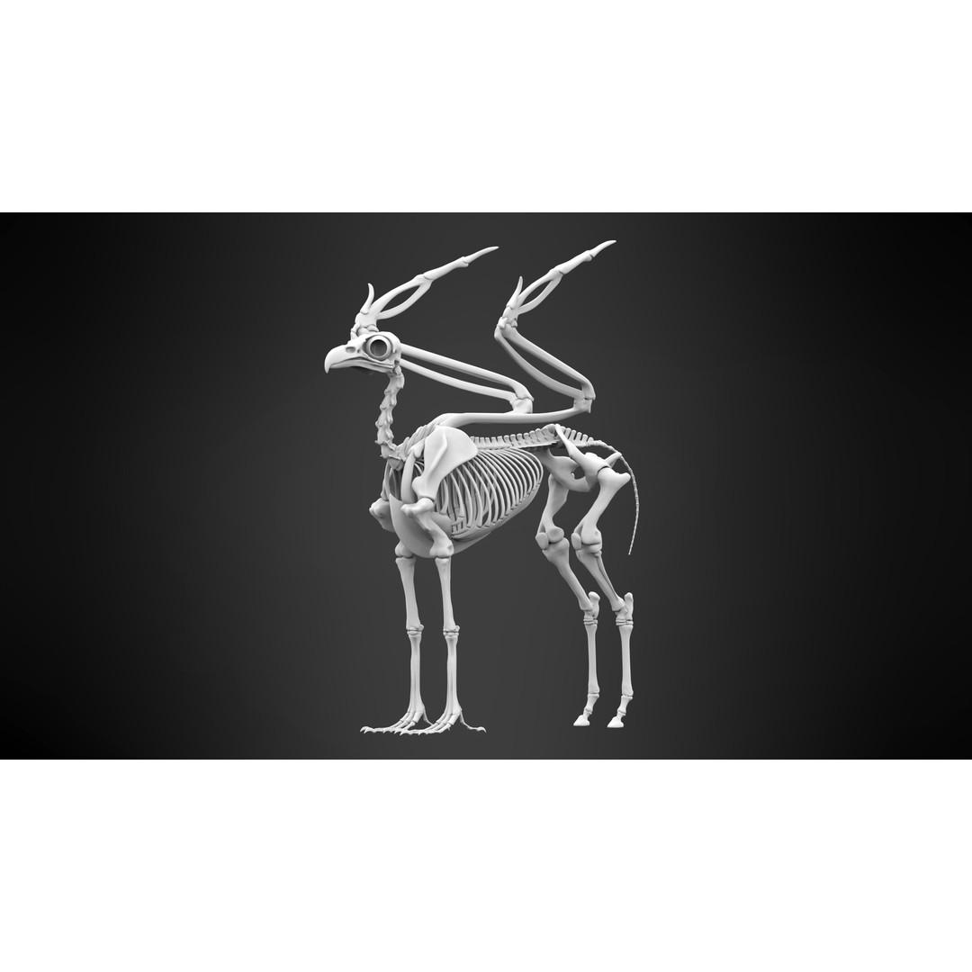 Hippogriff Skeleton 3D Model – High Poly Fantasy Character, FBX, OBJ - View 7