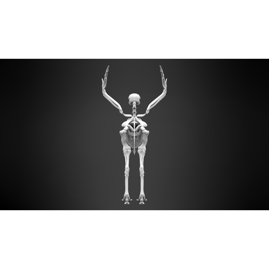 Hippogriff Skeleton 3D Model – High Poly Fantasy Character, FBX, OBJ - View 8