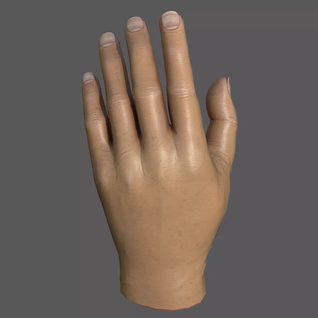 Male Hand 3D Model – Low Poly Game Asset, PBR Textures - View 2