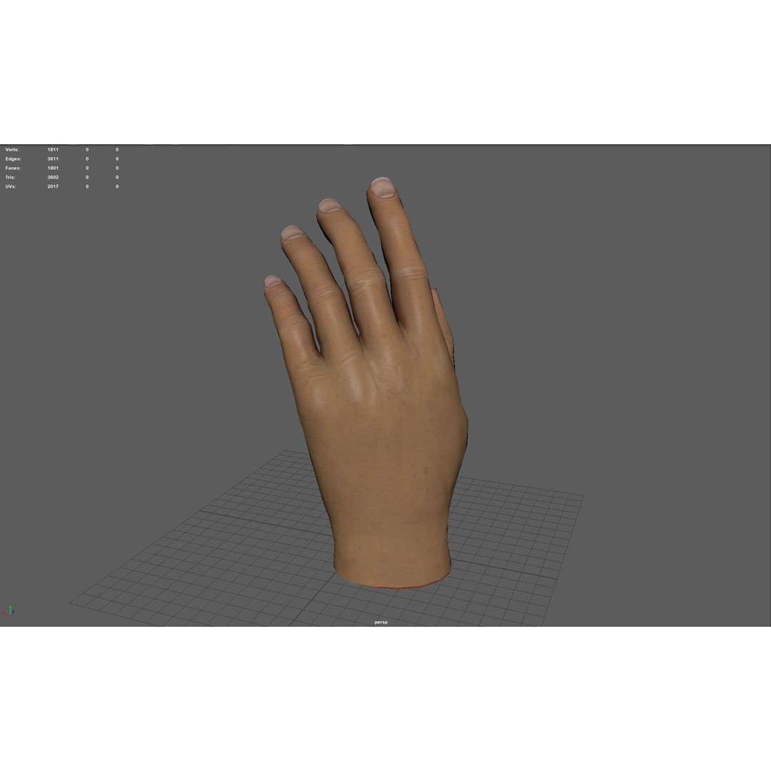Male Hand 3D Model – Low Poly Game Asset, PBR Textures - View 8