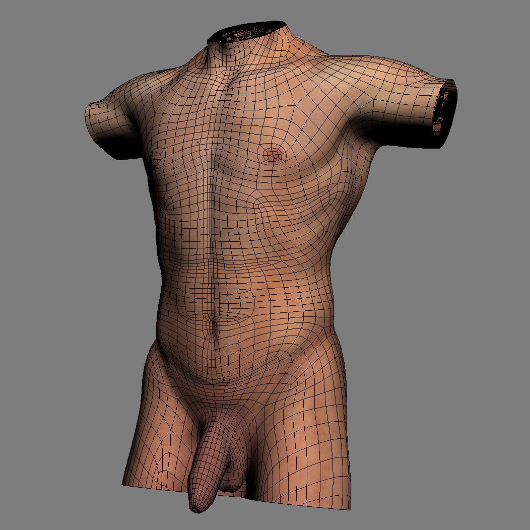 Human Male Torso 3D Model – Anatomically Accurate with PBR Textures - View 34