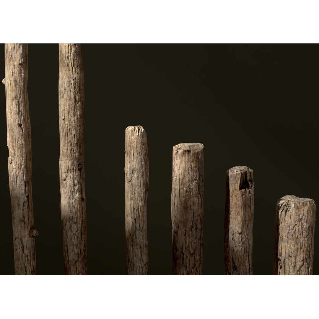 Old Wooden Poles 3D Model – Low Poly Game Asset, FBX, PBR Textures - View 37